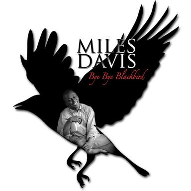 Don't Explain to Me Baby