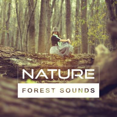 Forest Sounds