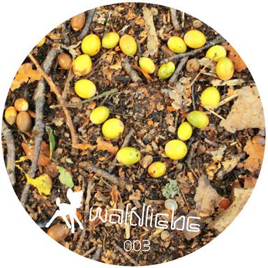 Waldspaziergang - Xaver Lichtblick & Josef Sonnenschein Remix