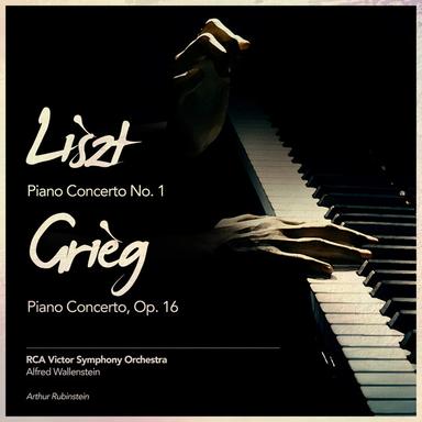 Piano Concerto No. 1 in E-Flat Major, S.124: I. Allegro maestoso