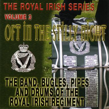 11th Battalion The Ulster Defence Regiment-the 87th Fusiliers