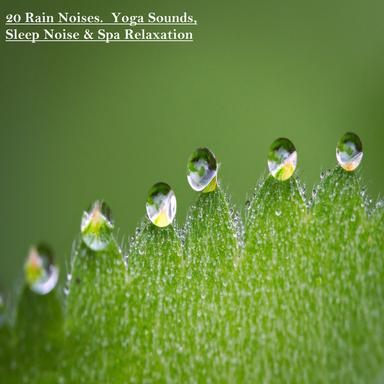 20 Rain Noises. Yoga Sounds, Sleep Noise & Spa Relaxation