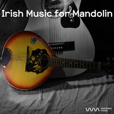 The Lonely Accordion