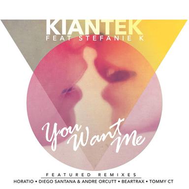 You Want Me - Diego Santana & Andre Orcutt Remix