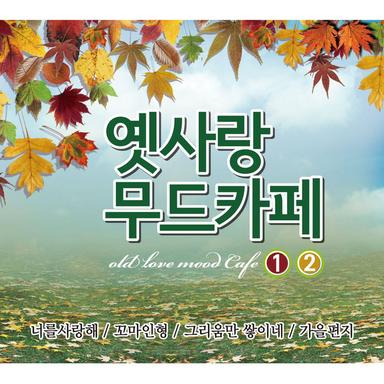 아모르
