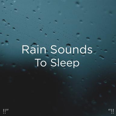 Relaxing Sleep Ambience