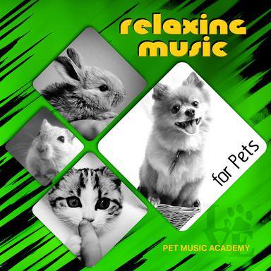 Soothing Sounds