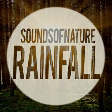Sounds of Nature: Rainfall
