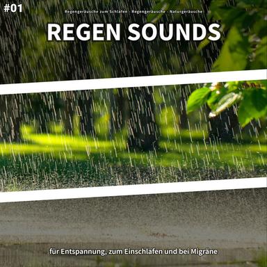 Ayurveda für Wohlergehen