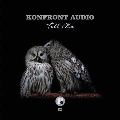 If I Need You - Original Mix
