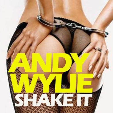 Shake It - Radio Edit