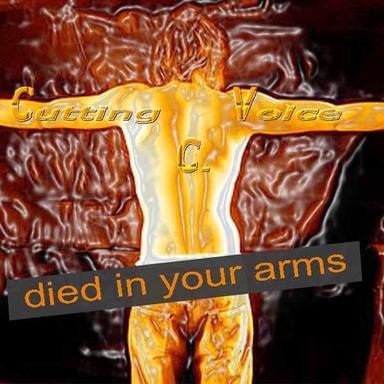 Died In Your Arms (Radio Version)