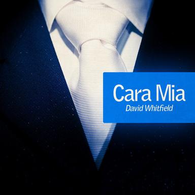 I'm the King of Broken Hearts