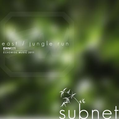 Jungle Run