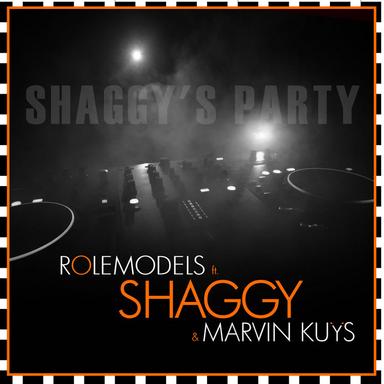 Shaggy's Party - Clean Radio Edit