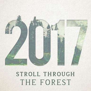 Sweet Sounding Birds