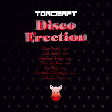 Disco Erection