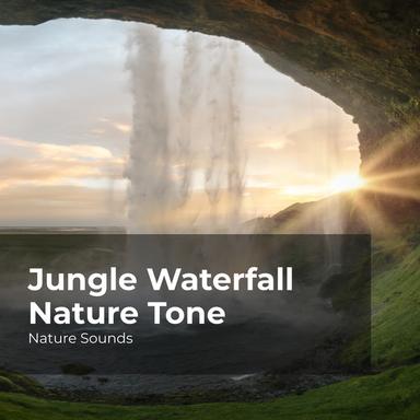 Find Peace in the Forest