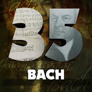 Brandenburg Concerto No. 1 in F Major, BWV 1046: II. Adagio