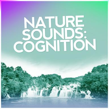 Bottom of the Garden