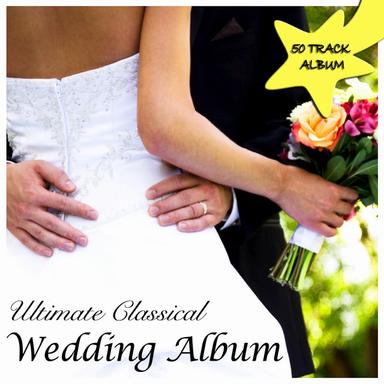 Concerto For Piano And Orchestra No. 21 In C Major, Elvira Madigan KV 467: Allegro Maestoso