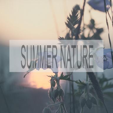 Summer Nature