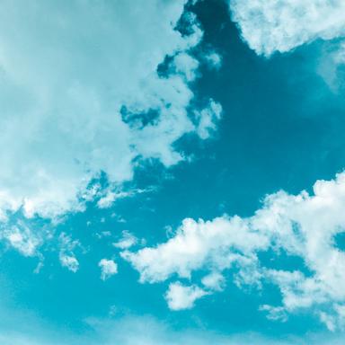 Peace in the Meadows