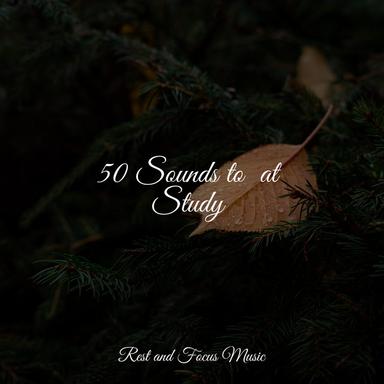 Massage Music