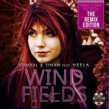 Windfields - Jan Waterman Remix