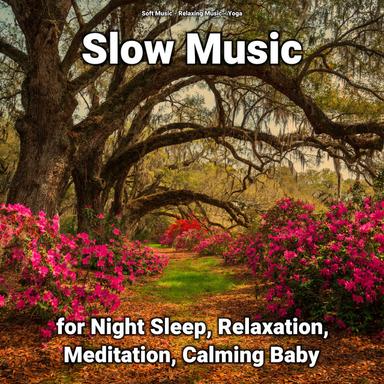 Relaxing Music for Massage