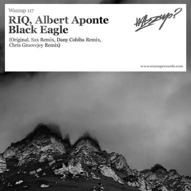 Black Eagle - Chris Groovejey Remix