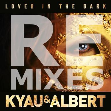 Lover in the Dark - Local Heroes Remix