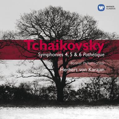 Tchaikovsky: Symphony No. 5 in E Minor, Op. 64: II - Andante cantabile, con alcuna licenza