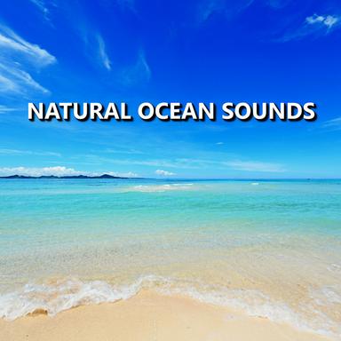 Terrific Meditation Ocean Sounds