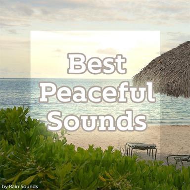 Amazing Nature Sounds