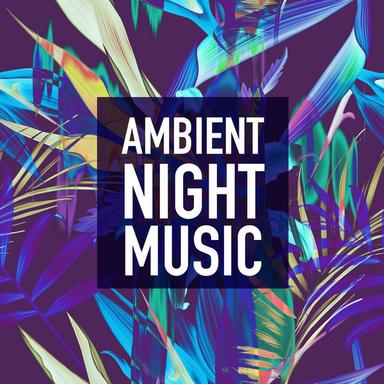 The Name of the Wave - William Orbit Remix