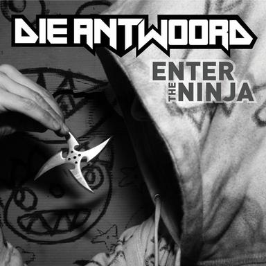 Enter The Ninja - Radio Edit Version