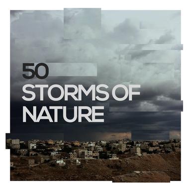 Rain on Forest Floor