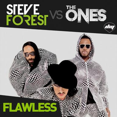 Flawless (Nicola Fasano & Steve Forest Dub Mix) - Steve Forest Vs The Ones