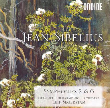 Symphony No. 6 in D Minor, Op. 104: IV. Allegro molto