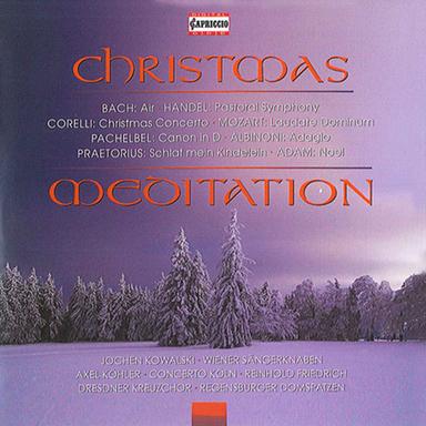 Concerto Grosso in D Minor, Op. 3, No. 11, RV 565: II. Siciliano