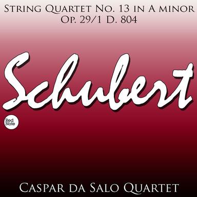 String Quartet No. 13 in A minor, Op. 29/1 D. 804: II. Andante