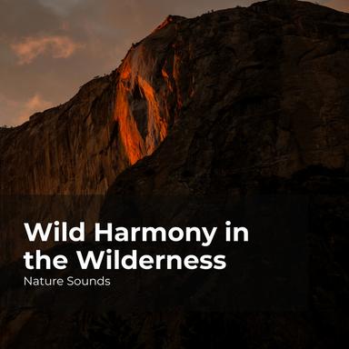 Strolling by the Shore