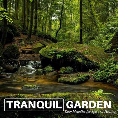 Unearthly Experience - Original Mix