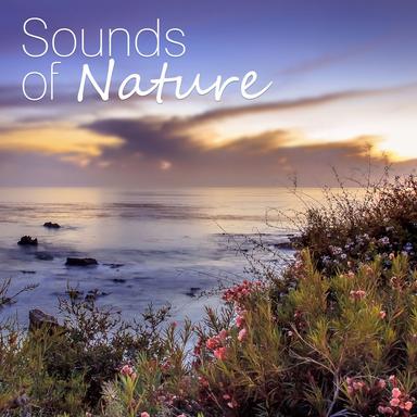 Soothing Sounds