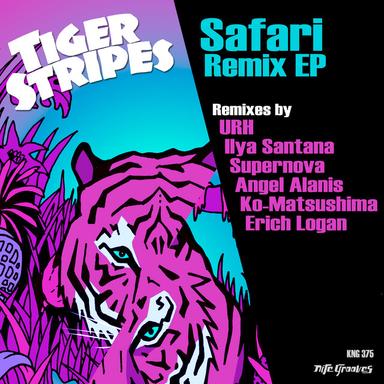 Consecration - Ilya Santana Dub Remix