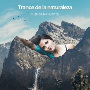 Birds Calling In Rainfall