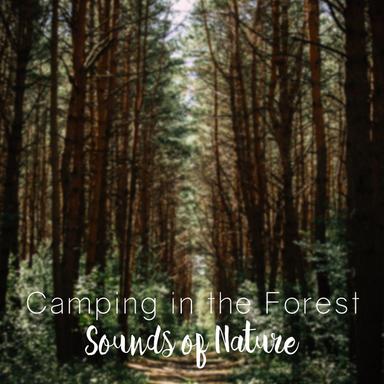 Ducklings in a Stream