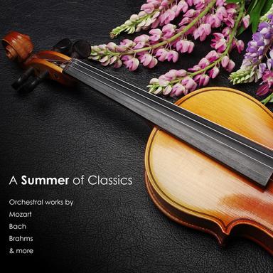 21 Hungarian Dances, WoO 1 - Orchestral Version: No. 18 in D Major