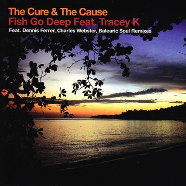 The Cure & the Cause - Acoustic Version
